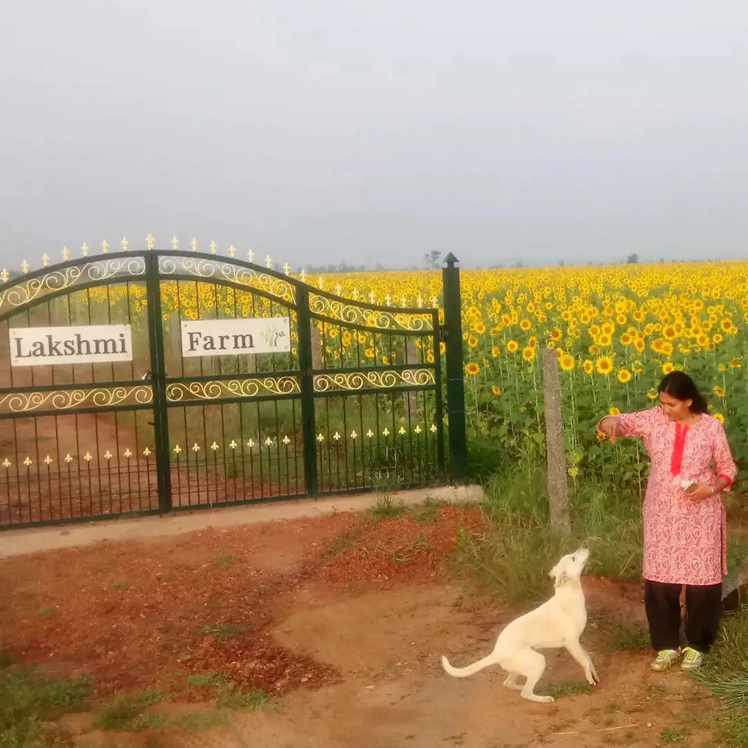 Lakshmi Farm Gate